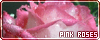  Love Hopeful: the Pink Roses fanlisting
